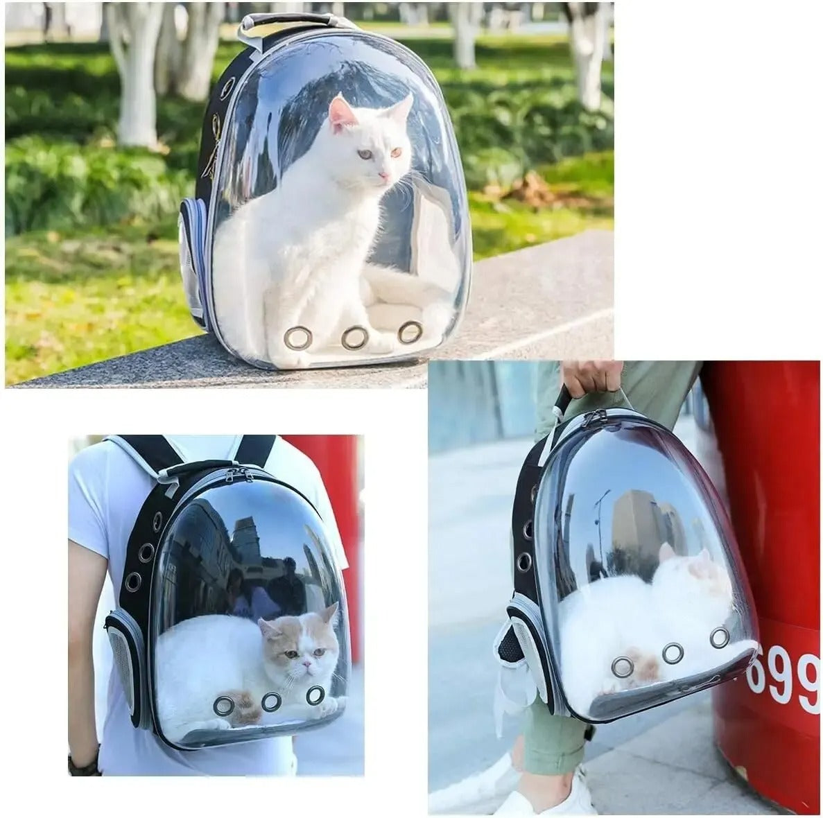 Cat Backpack Carrier Bubble Bag - Gehen Sie mit Ihrer Katze auf Entdeckungsreise!