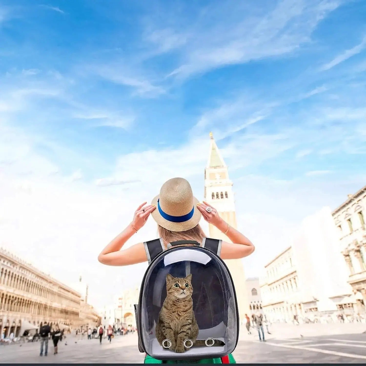 Cat Backpack Carrier Bubble Bag - Gehen Sie mit Ihrer Katze auf Entdeckungsreise!