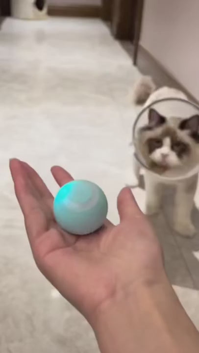 Fabehe Katzenspielzeug - Indoor Automatisch rollender Magic Ball