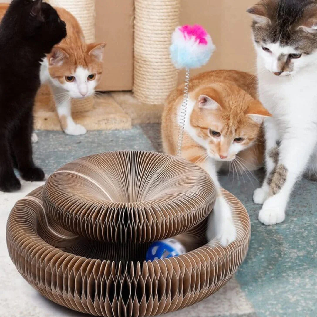 PetMaze™ Katzenspielzeug